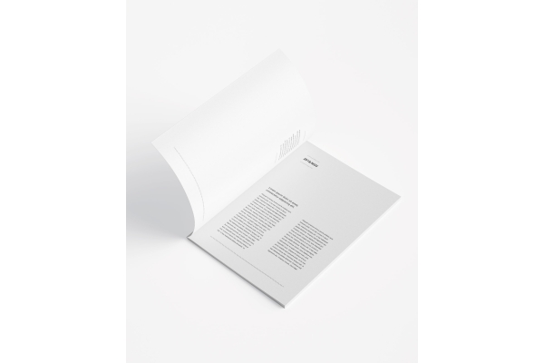 Imprimir revistas grapadas baratas
