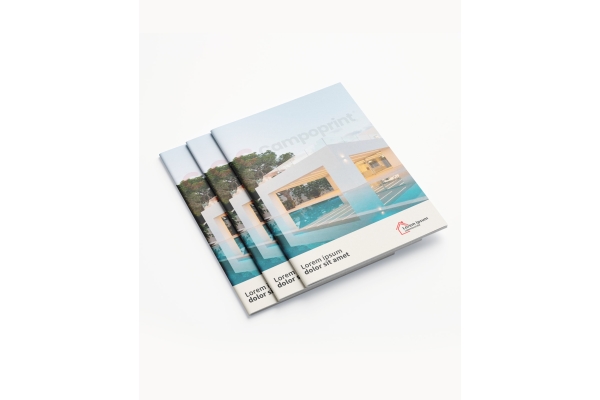 Imprimir revistas grapadas baratas