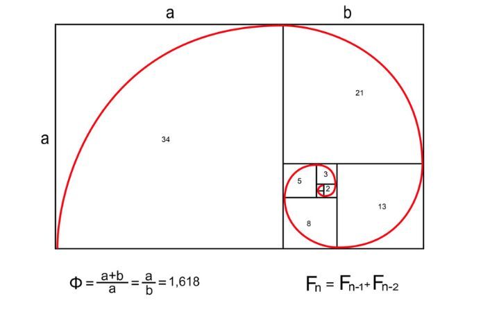 explicacion proporcion aurea